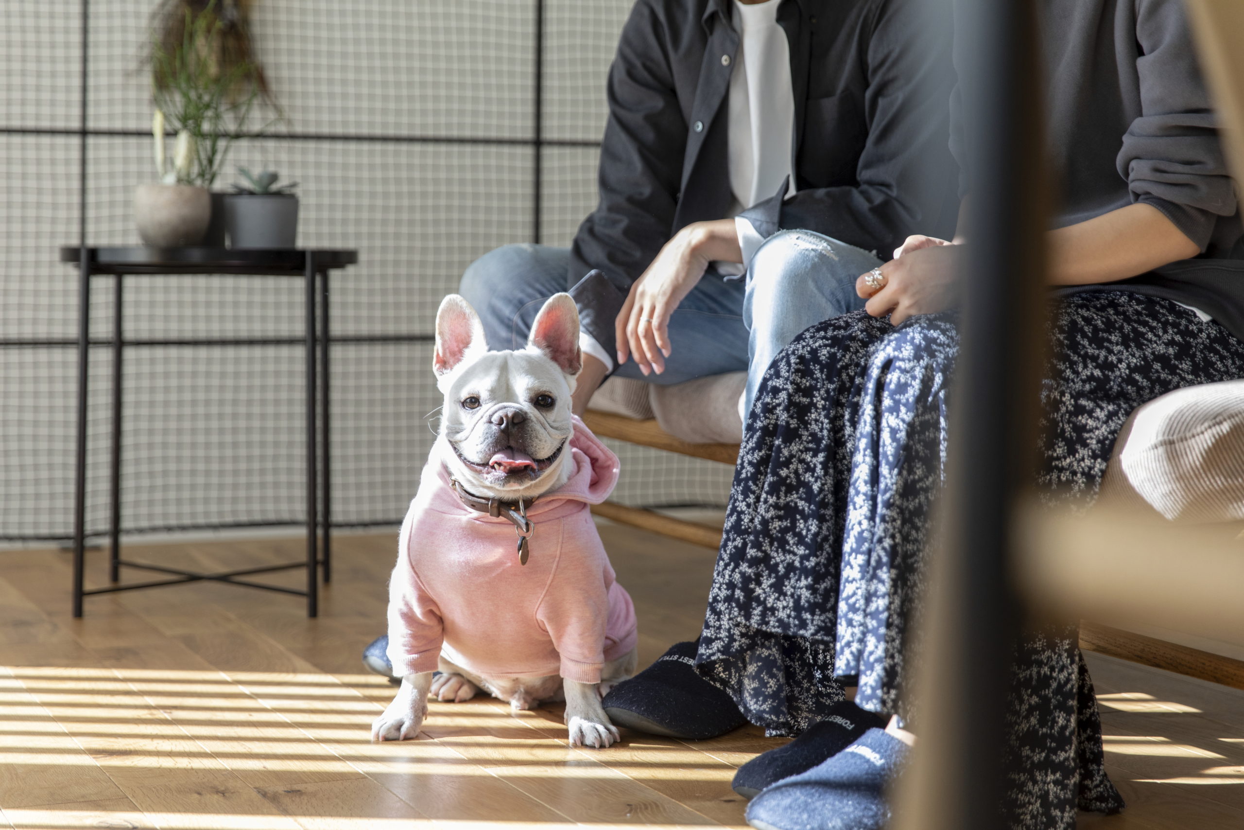 施工写真